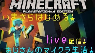 ＃4［マインクラフト］おっさん初めてのマイクラに挑む！
