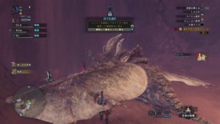 モンスターハンター：ワールド_20181210004918