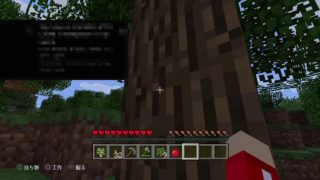 アニキでーす！マインクラフト　やっさんのマップ再スタートお手伝い