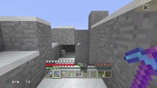 PS4 マインクラフト　せいち卍