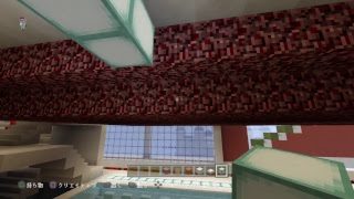 PS4［マインクラフト］まったり雑談ラジオ放送※画面固定多いです　[概要欄チェック]