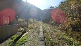 【マインクラフト】#155 ちょっとネタバレ、アドベンチャーマップ「パンダ大騒動」をやってみるLive