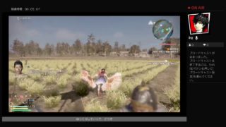 二人で新·三國無双8