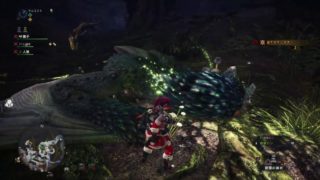 PS4 モンスターハンターワールド:プケプケ バグ★