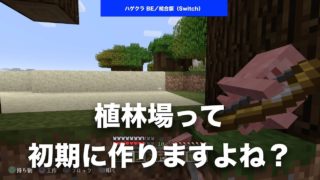 【 #マインクラフト #REALMS 】最近は昆布ブロックもいい燃料になりますが、やっぱり #植林場 って作りますよね？ 初期段階で #MINECRAFT