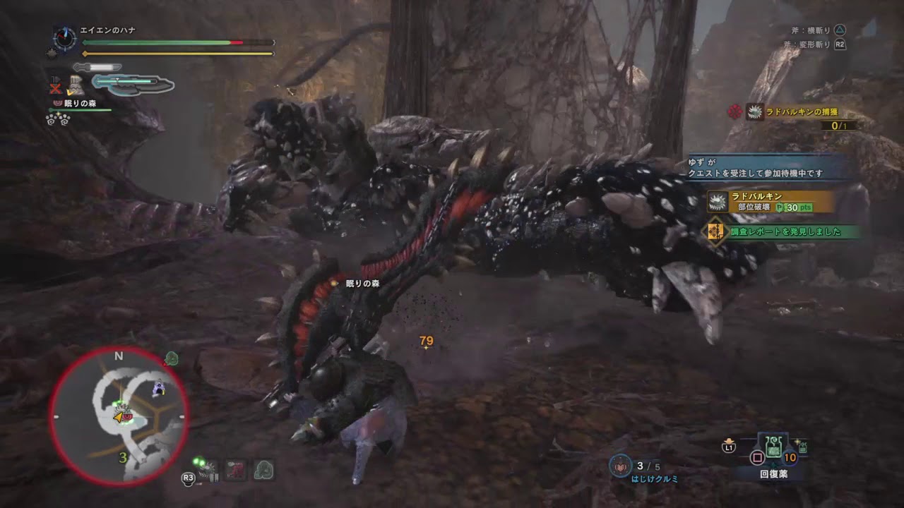 モンスターハンター：ワールド_20181211210847