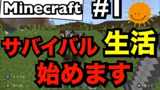 サバイバル生活、始めます。【Minecraft マインクラフト】カバヤキクラフト(仮)#1