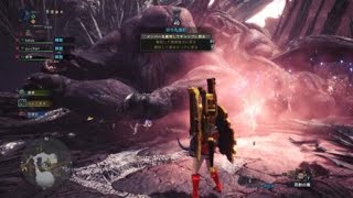 モンスターハンター：ワールド_20181229213126　最速
