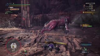 モンスターハンター：ワールド MHW 撃龍槍でイビルジョーとオドガロン同時討伐完了