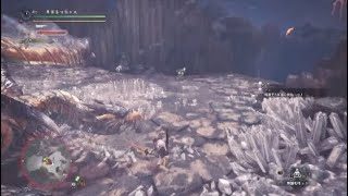 モンスターハンターワールド　嵐のさなかにて　歴戦王クシャルダオラ　太刀　4分3秒