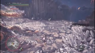 モンスターハンターワールド　嵐のさなかにて　歴戦王クシャルダオラ　太刀　4分3秒