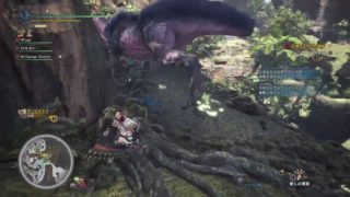 「お願い! PS4」(モンスターハンター:ワールド) PS4 Pro テスト配信3