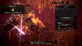 モンスターハンター：ワールド_20181221031146