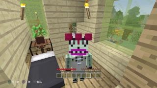 PS4［マインクラフト］まったり雑談ラジオ放送※画面固定多いです[概要欄チェック]