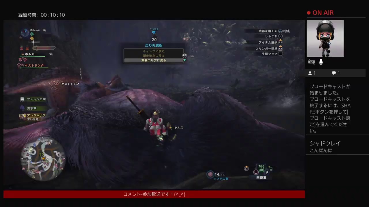 ハンマーガールとアステラ祭!!煌めきの宴【モンスターハンターワールド 】