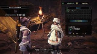 モンスターハンター：ワールド_201812095010