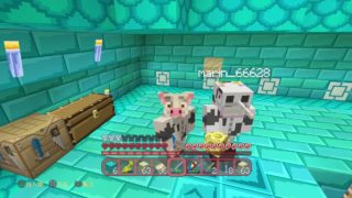 PS4［ﾏｲﾝｸﾗﾌﾄ］ミナにゃもワールドハード海底神殿行くぞぅNo. 2