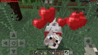 #6【マインクラフトPE】とっしーのマイクラのんびり生活