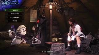 (1080p60HD)高画質！モンスターハンターワールド#150
