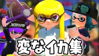 今まで会ったかわいい変なイカ集【スプラトゥーン２】