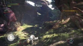 モンスターハンター：ワールド_20181213200221