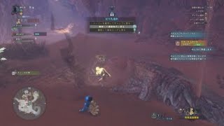 モンスターハンター：ワールド_20181227202247