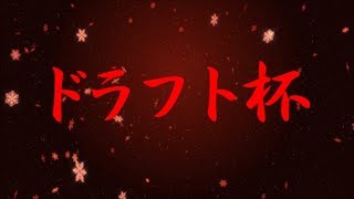 【スプラトゥーン２】ろん主催ドラフト杯【運営視点】
