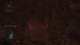 モンスターハンター：ワールド　爛輝龍歴戦王　エリア4