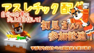 【年明けまでに1万人！マインクラフト】申し訳程度に顔出ししながら視聴者参加型アスレチック！タイトル変わるかも【初見さん歓迎】