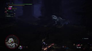 モンスターハンターワールド　調査クエ消化