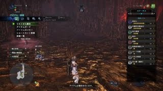 モンスターハンター：ワールド_20181227210656