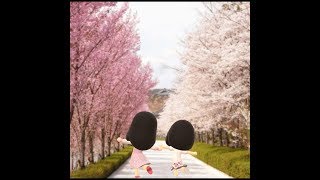 さくら　マインクラフト　part247