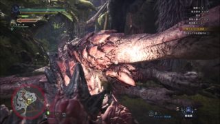モンスターハンターワールド　ＶＳリオレウス