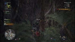 モンスターハンター：ワールド_20180126195313