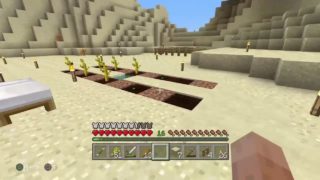 退役軍人のマインクラフト