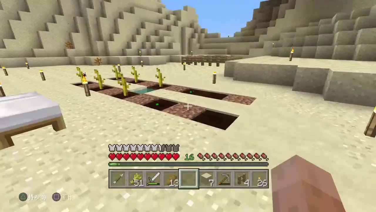 退役軍人のマインクラフト