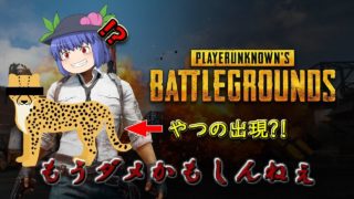 【PUBG】これはまさかのチー◯ーでは!?【ゆっくり実況】