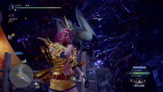 モンスターハンター：ワールド_20181203173117