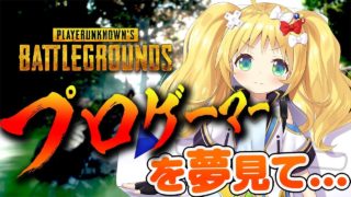 【PUBG 実況】見て！これがプロゲーマーを目指す腕前なのだ！【女子Vtuber】
