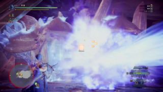 モンスターハンター：ワールド　こんがり配信55