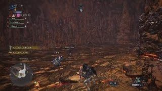 モンスターハンター：ワールド　歴戦王マムタロトレベル4エリア4 チャックス視点