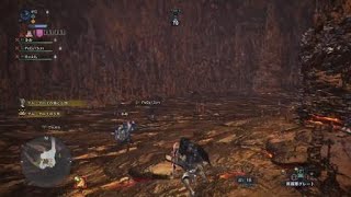 モンスターハンター：ワールド　歴戦王マムタロトレベル4エリア4 チャックス視点