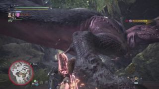 モンスターハンター：ワールド_20181214091653