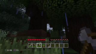 [PS4]幼稚園からの幼馴染みとマインクラフト始めました(*'ヮ')/