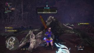 モンスターハンター：ワールド_20181009043839
