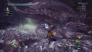 モンスターハンターワールドＶＳ歴戦クシャルダオラ