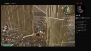 「真・三國無双８」