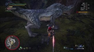 モンスターハンターワールド　ＶＳトビカガチ