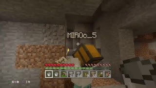 PS4版　夜行性縛りのマインクラフトpert89.6