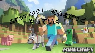 【マインクラフト 】最初の挨拶忘れてるけどプレイしていくぅ。#3